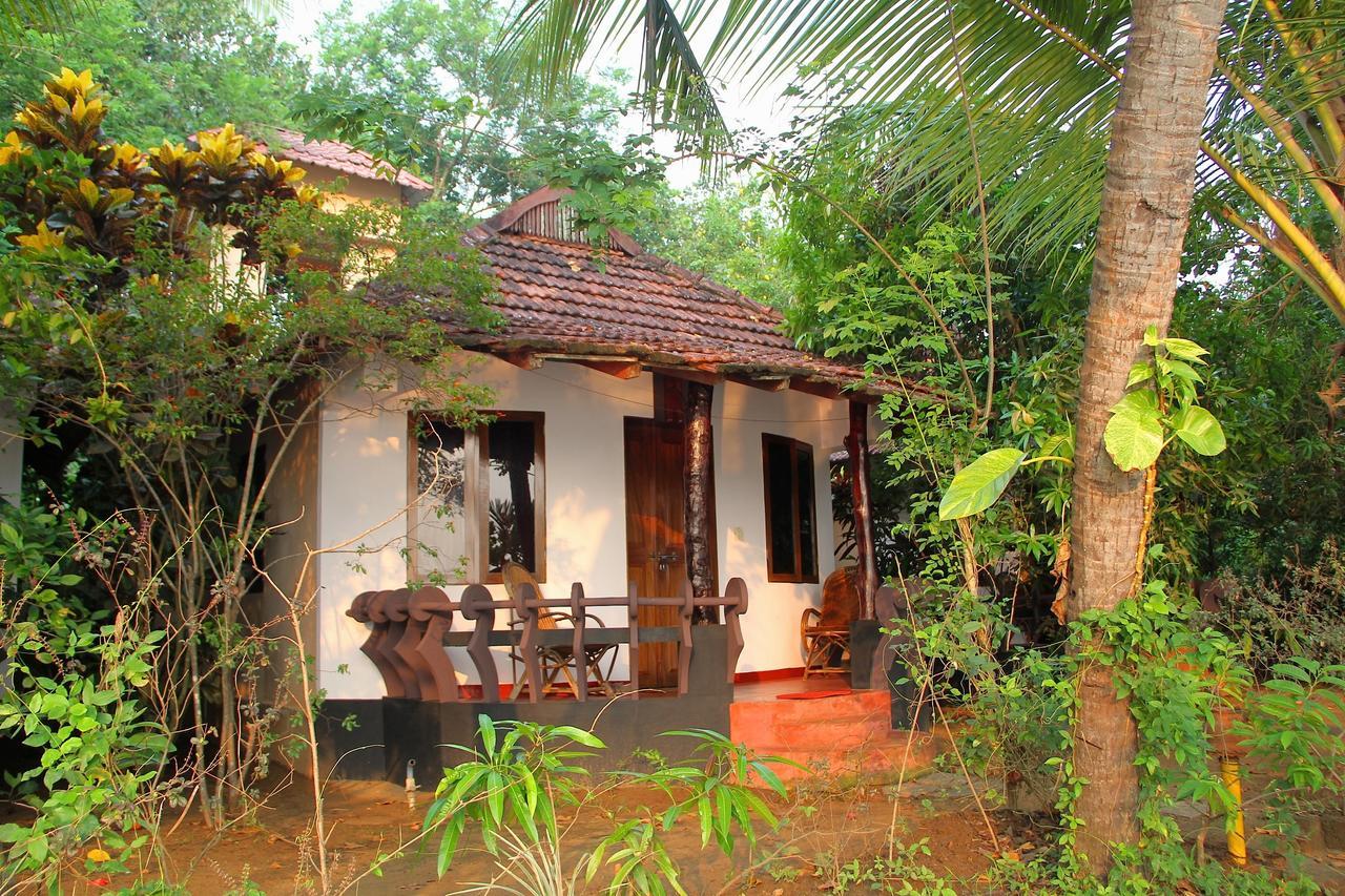 מלון North Paravur Big Banana Island Retreat מראה חיצוני תמונה