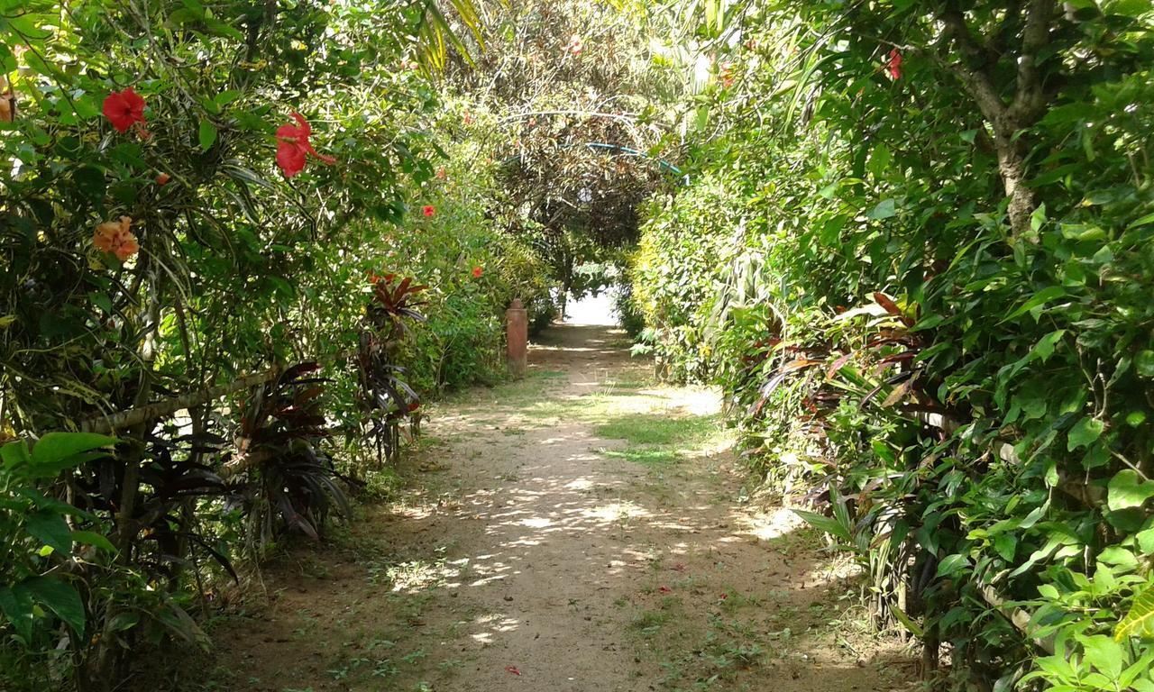 מלון North Paravur Big Banana Island Retreat מראה חיצוני תמונה