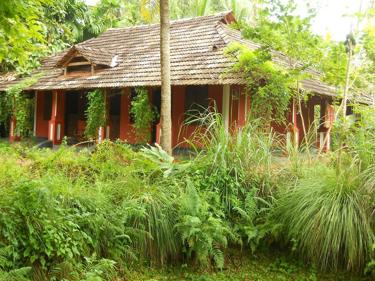 מלון North Paravur Big Banana Island Retreat מראה חיצוני תמונה