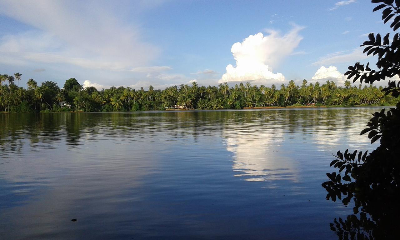 מלון North Paravur Big Banana Island Retreat מראה חיצוני תמונה