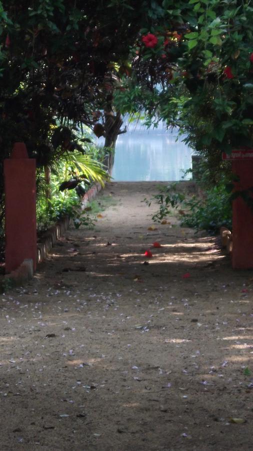 מלון North Paravur Big Banana Island Retreat מראה חיצוני תמונה