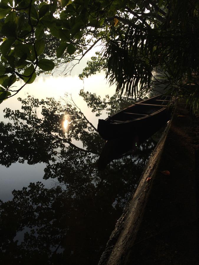 מלון North Paravur Big Banana Island Retreat מראה חיצוני תמונה